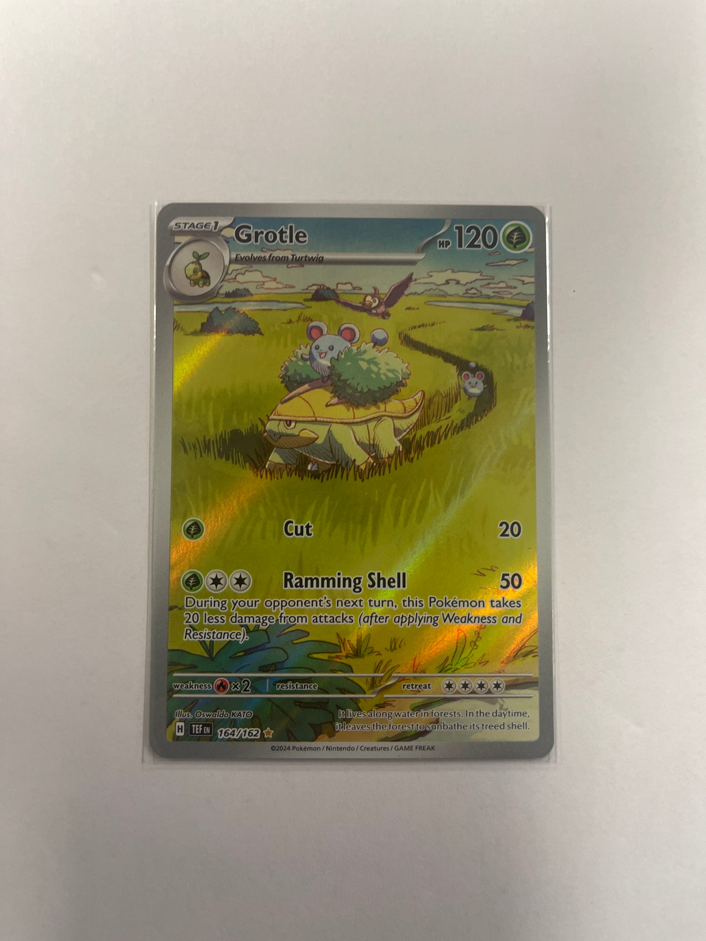 Pokémon TCG - Grotle 164/162 Illustration Rare Sv05: Temporal Forces English