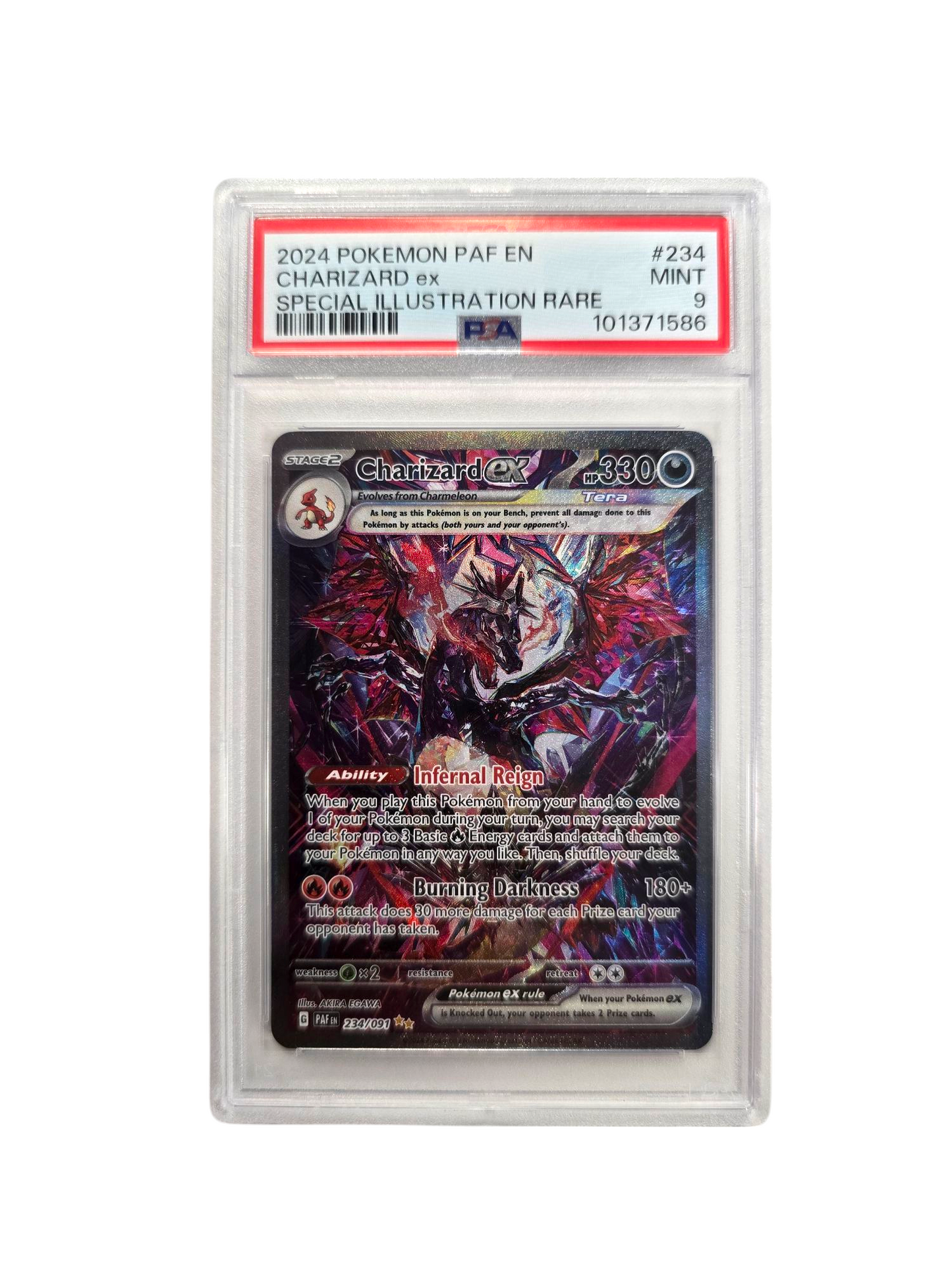 Pokemon Charizard ex Paldean Fates Special Illustration Rare #234 PSA 9 TCG